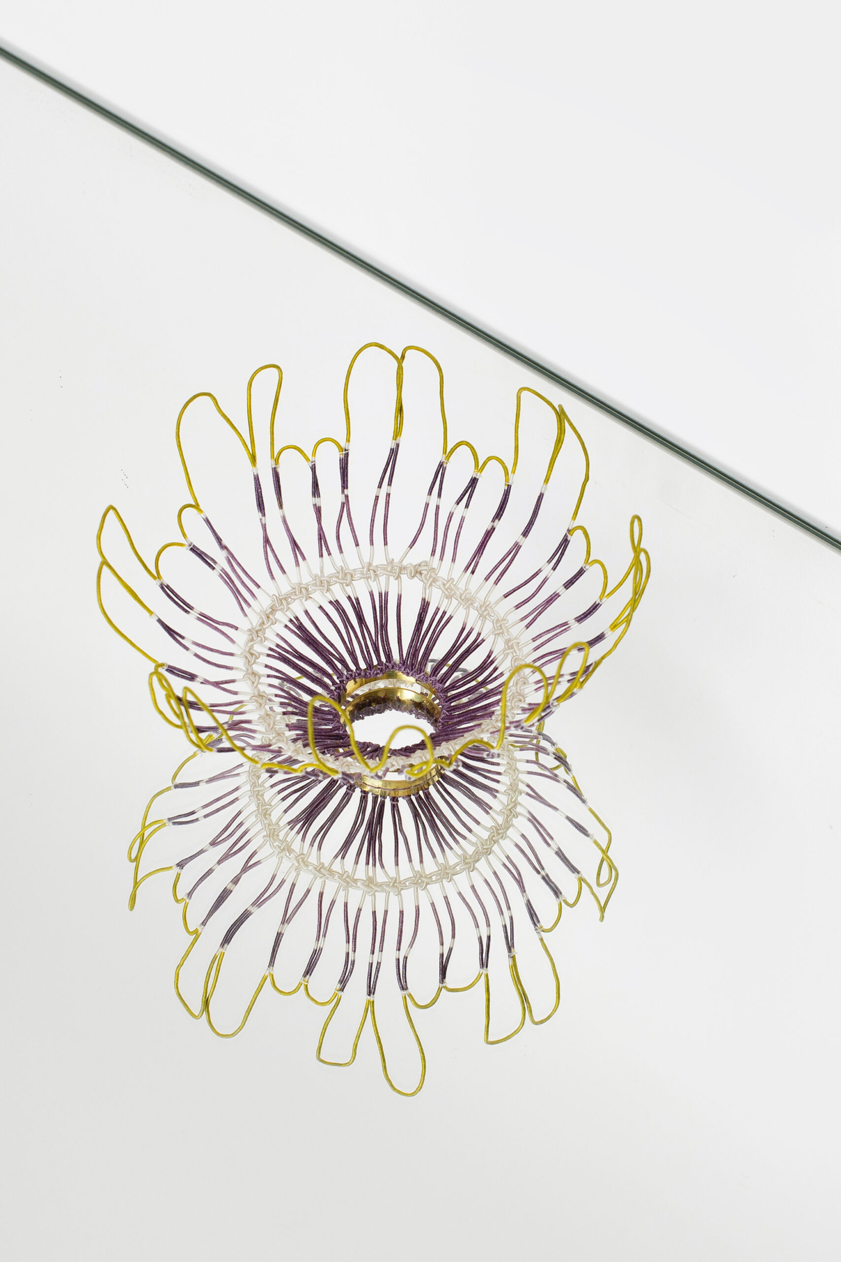 Fleur violet prune jaune