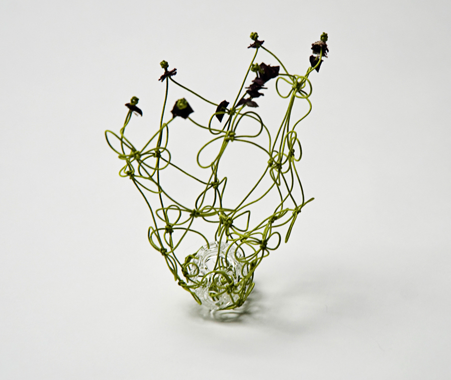 Ramilles crédit photo Hortense Vinet