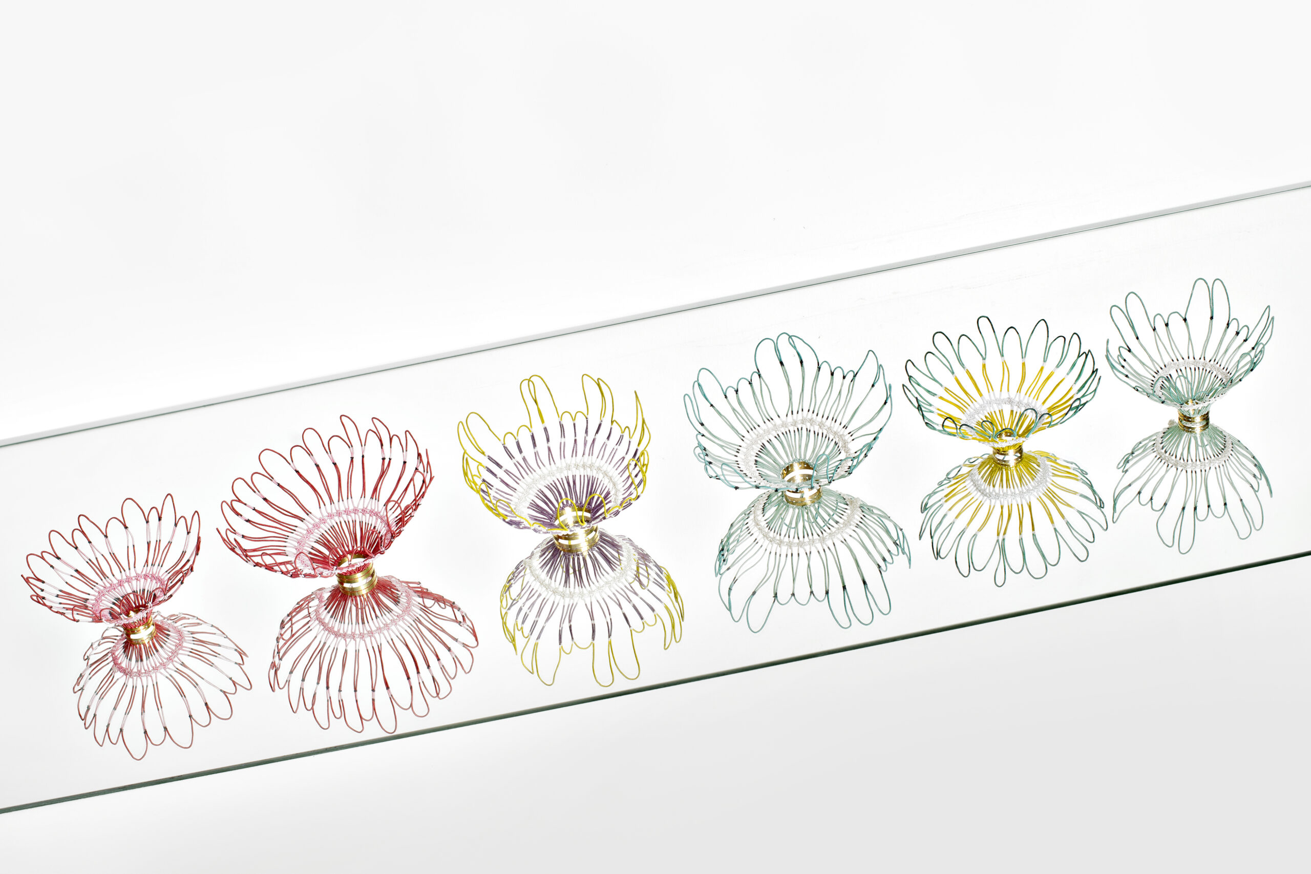 Fleurs à poser ou bijoux de mur - crédit photo hortense vinet